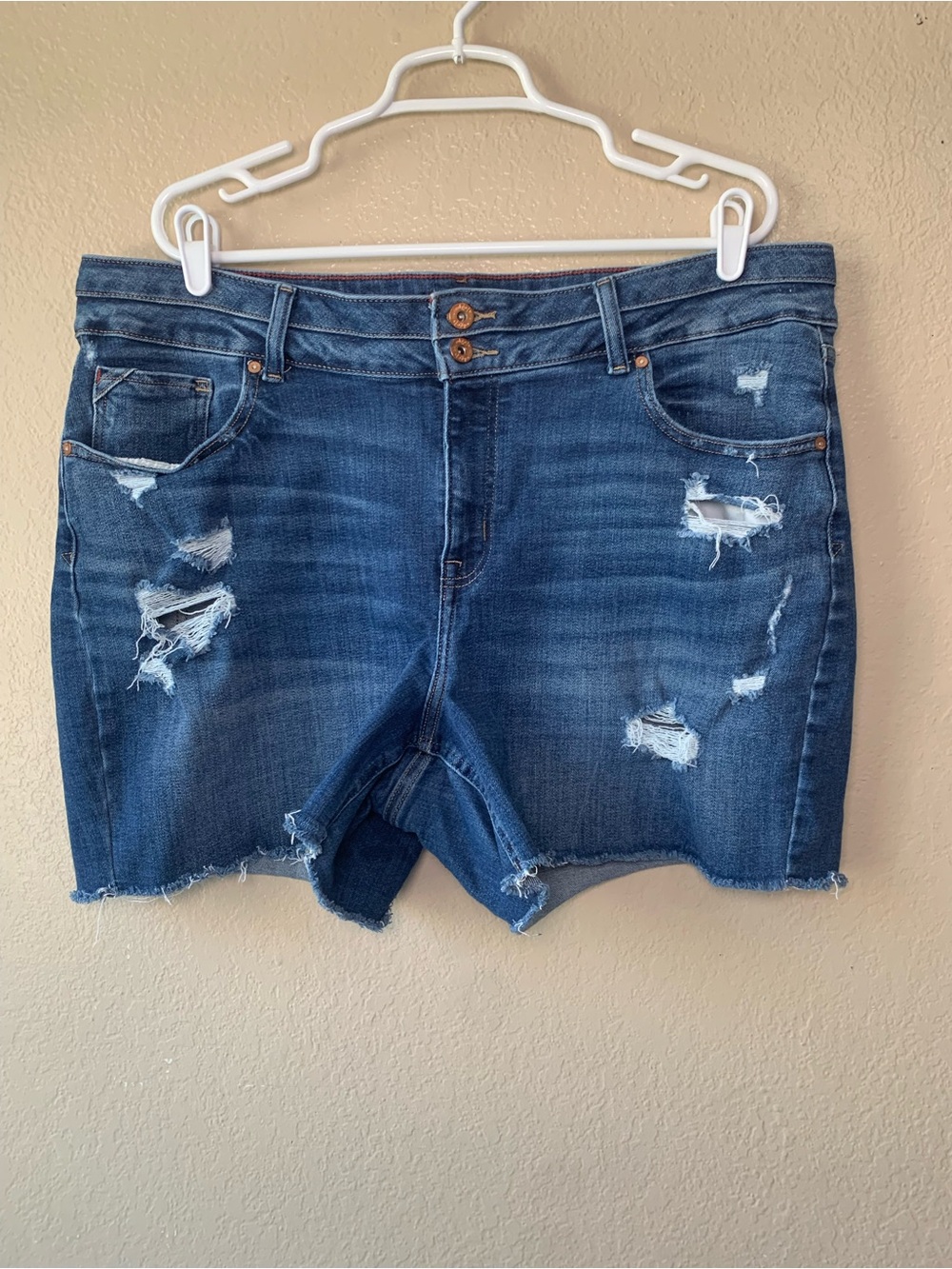 EDGELY Original Fit High Rise Raw Hem Denim Shorts Size 20W